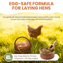 Lemant backyard flock hens ready to lay with herbal wormer support.