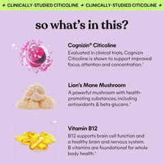 Lemme Focus label closeup featuring Cognizin and Lion's Mane ingredients.