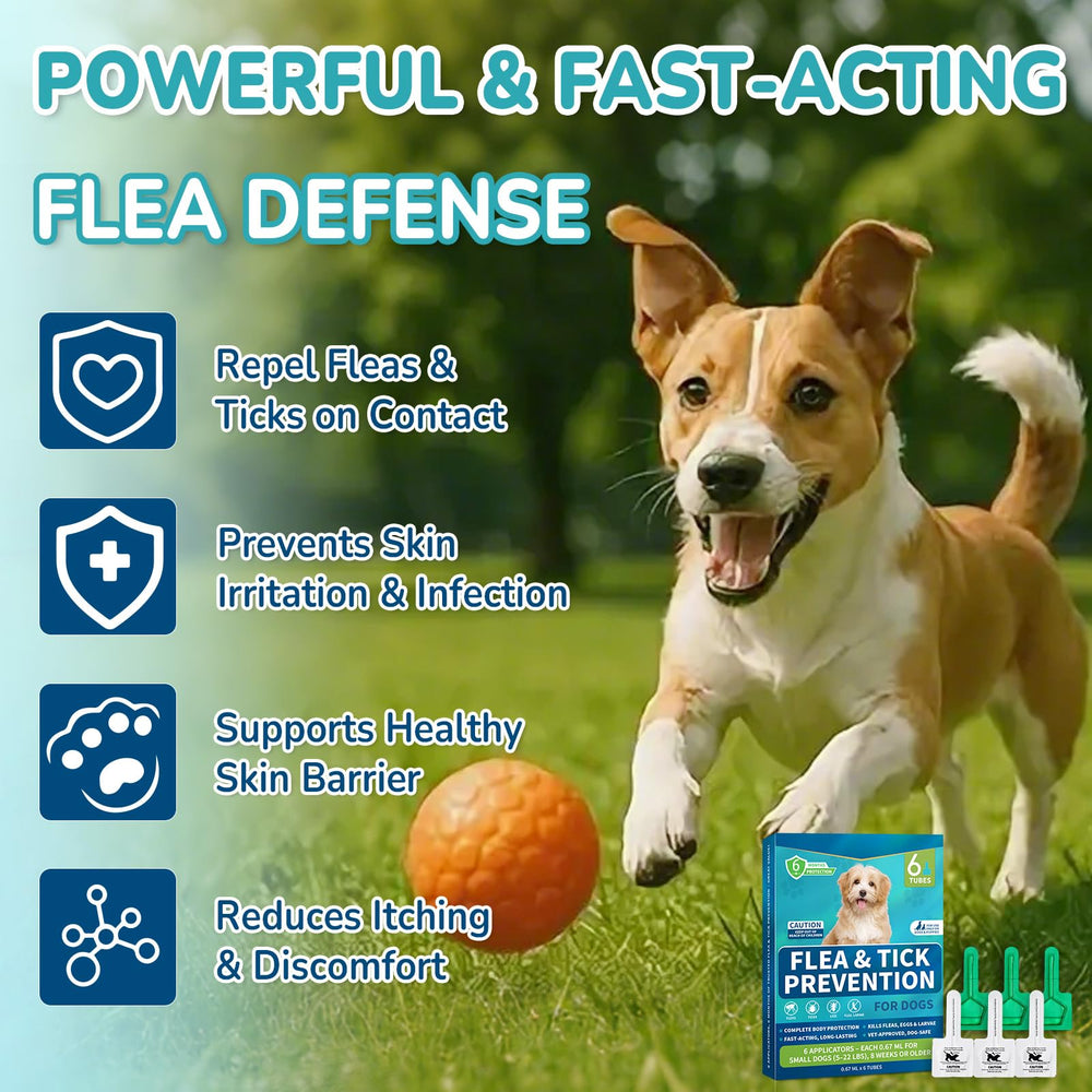 Lerqua drops on coat delivering broad pest defense.