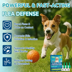 Lerqua drops on coat delivering broad pest defense.