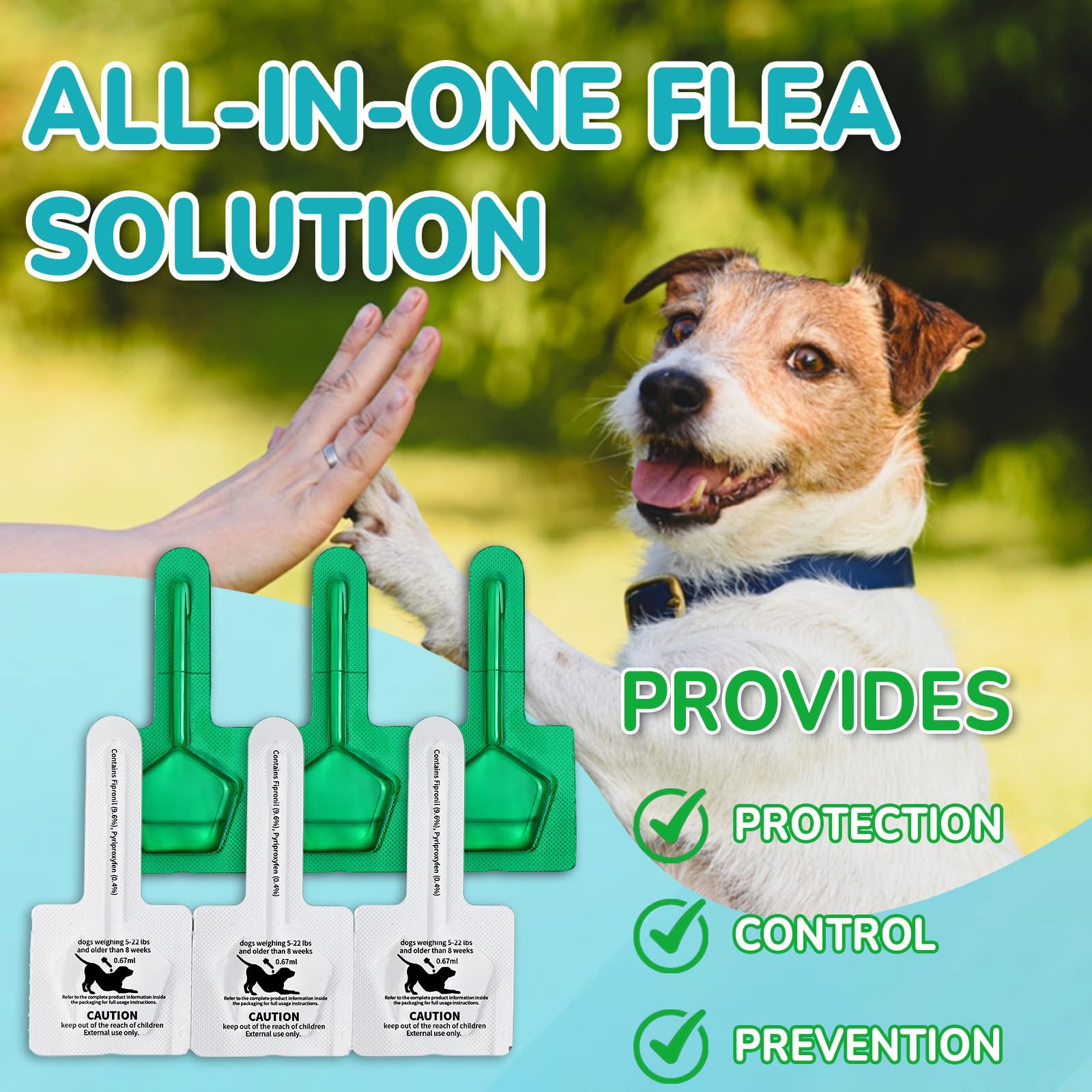 Lerqua six-month supply package for long-term protection.