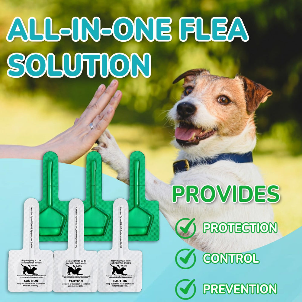 Lerqua six-month supply package for long-term protection.