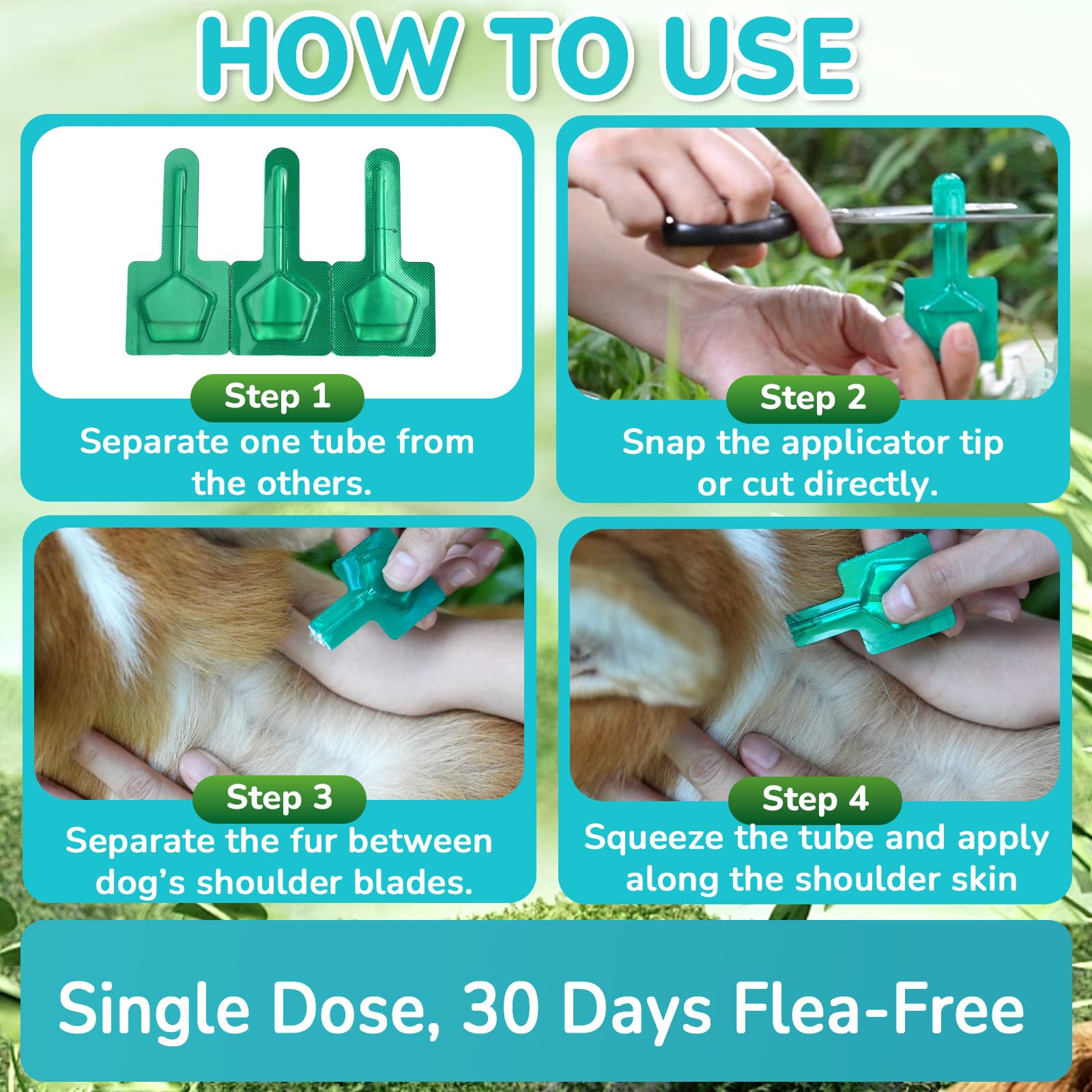Lerqua vet-recommended drops for home use.