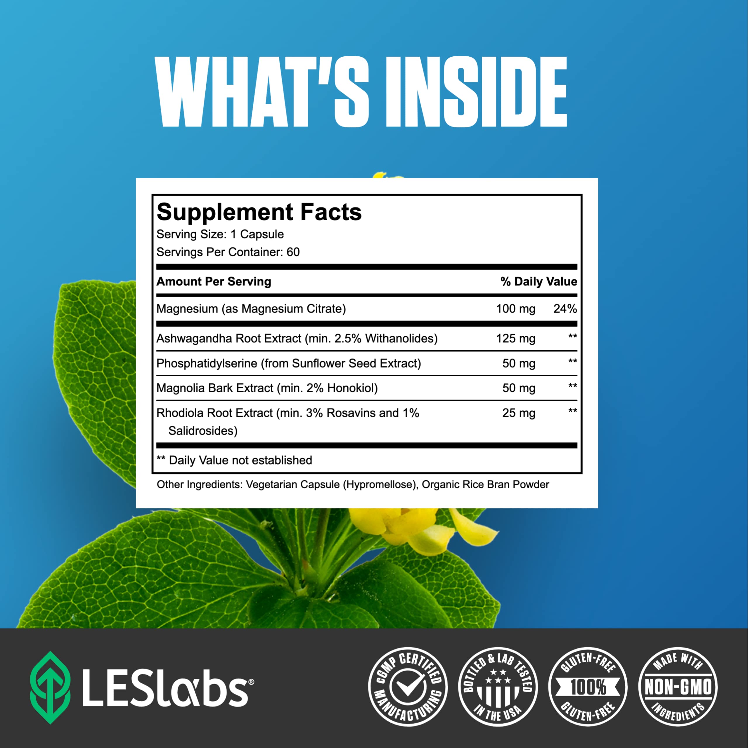 LES Labs Cortisol Health relaxation scene conveys a peaceful evening routine.