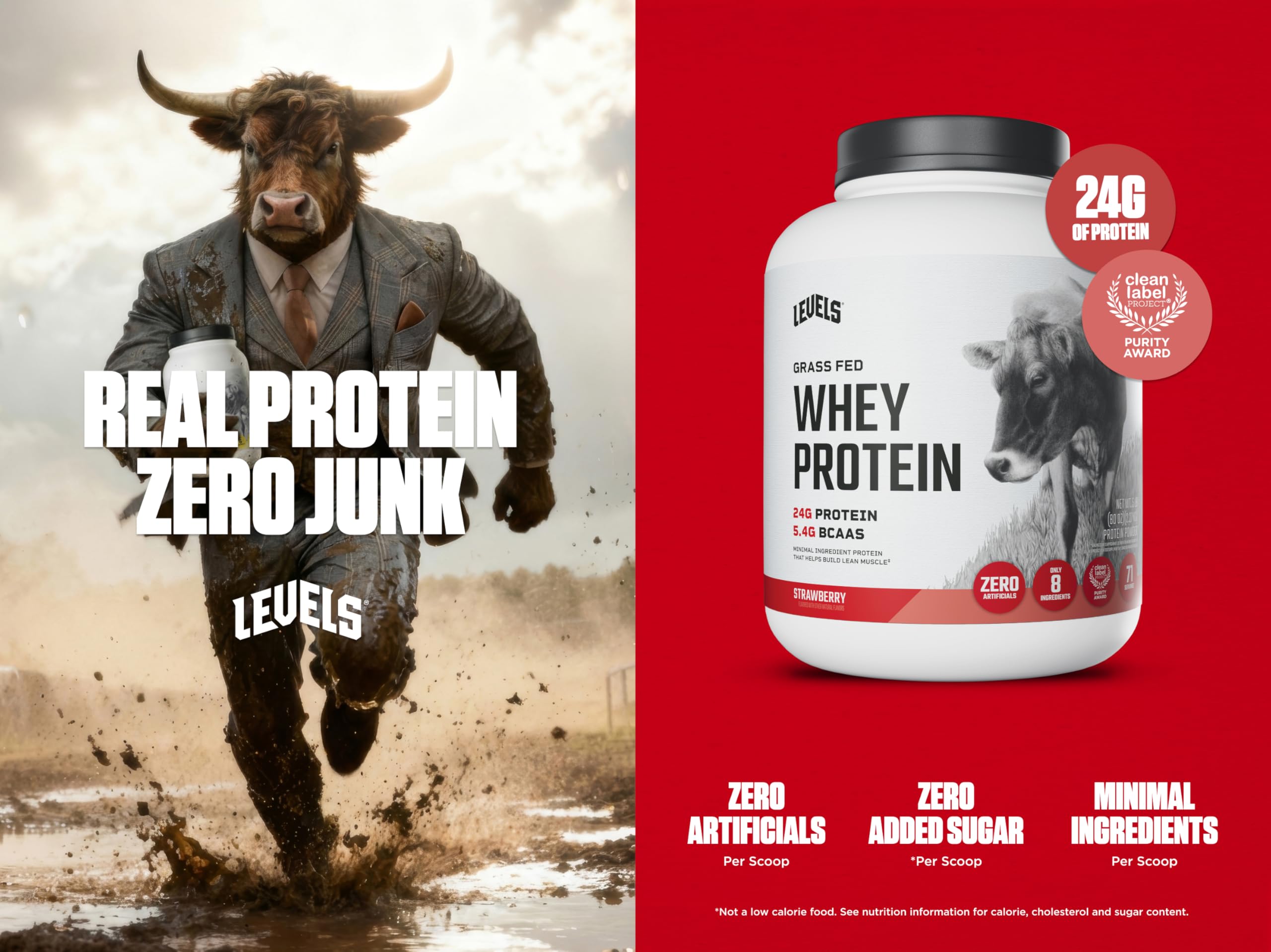 Levels Grass Fed Whey scoop ready for a quick protein boost