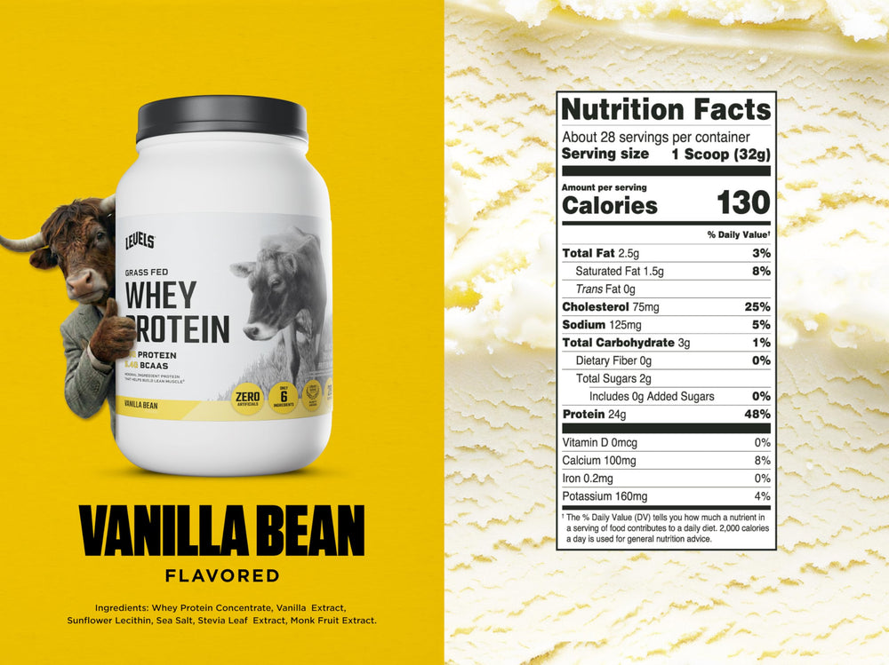 Levels Grass Fed Whey Vanilla Bean scoop on counter highlights precise serving size.