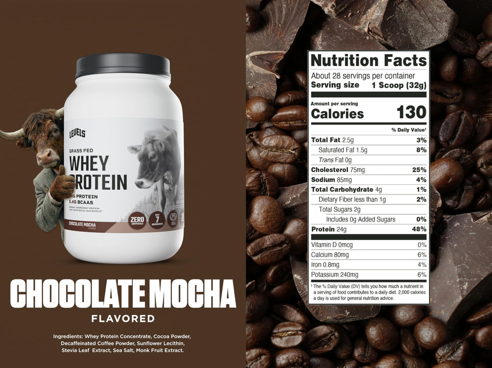 Levels Chocolate Mocha ingredients – clean, grass-fed dairy and premium cacao.