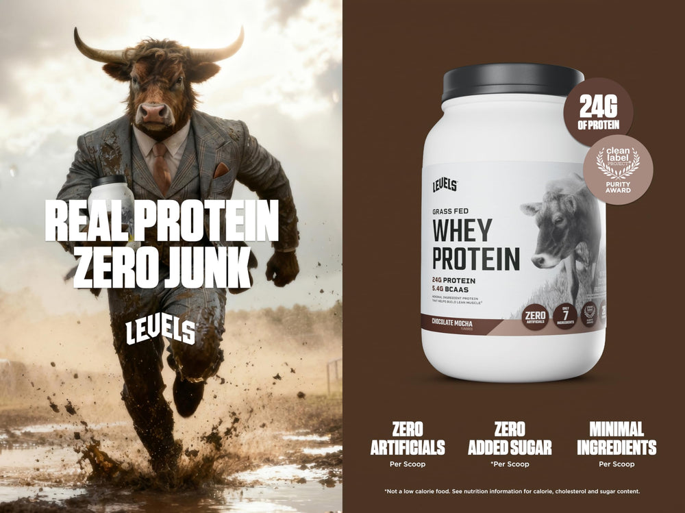 Levels Whey Scoop – measuring 24 g protein for daily fueling.