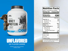 Levels Whey Protein Unflavored powder close-up texture.