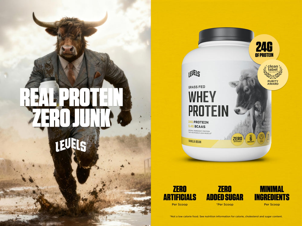 Levels Whey Vanilla Bean powder scoop, ideal for post-workout recovery and quick meals.