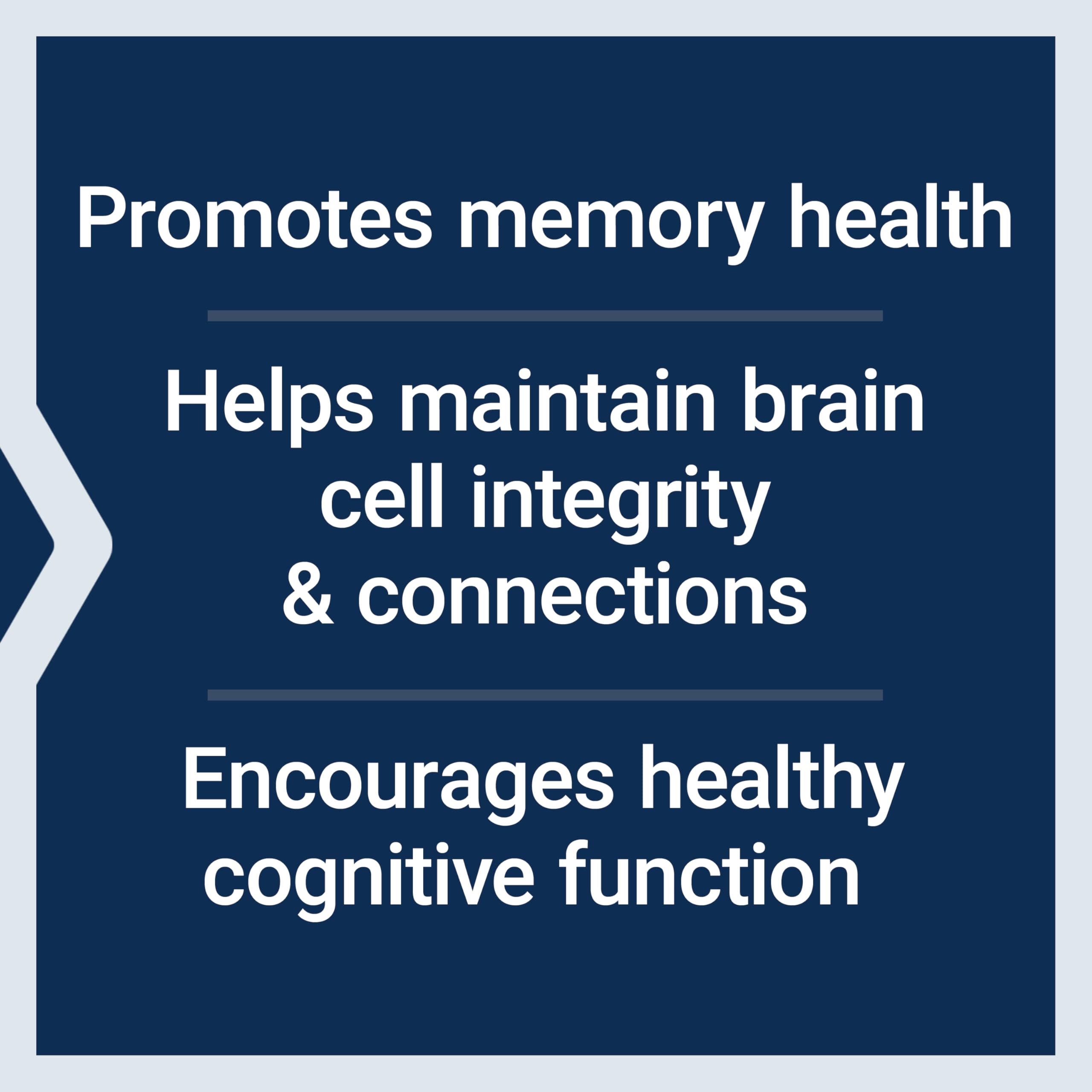 Cognitex Basics phosphatidylserine capsule detail for cognitive function.