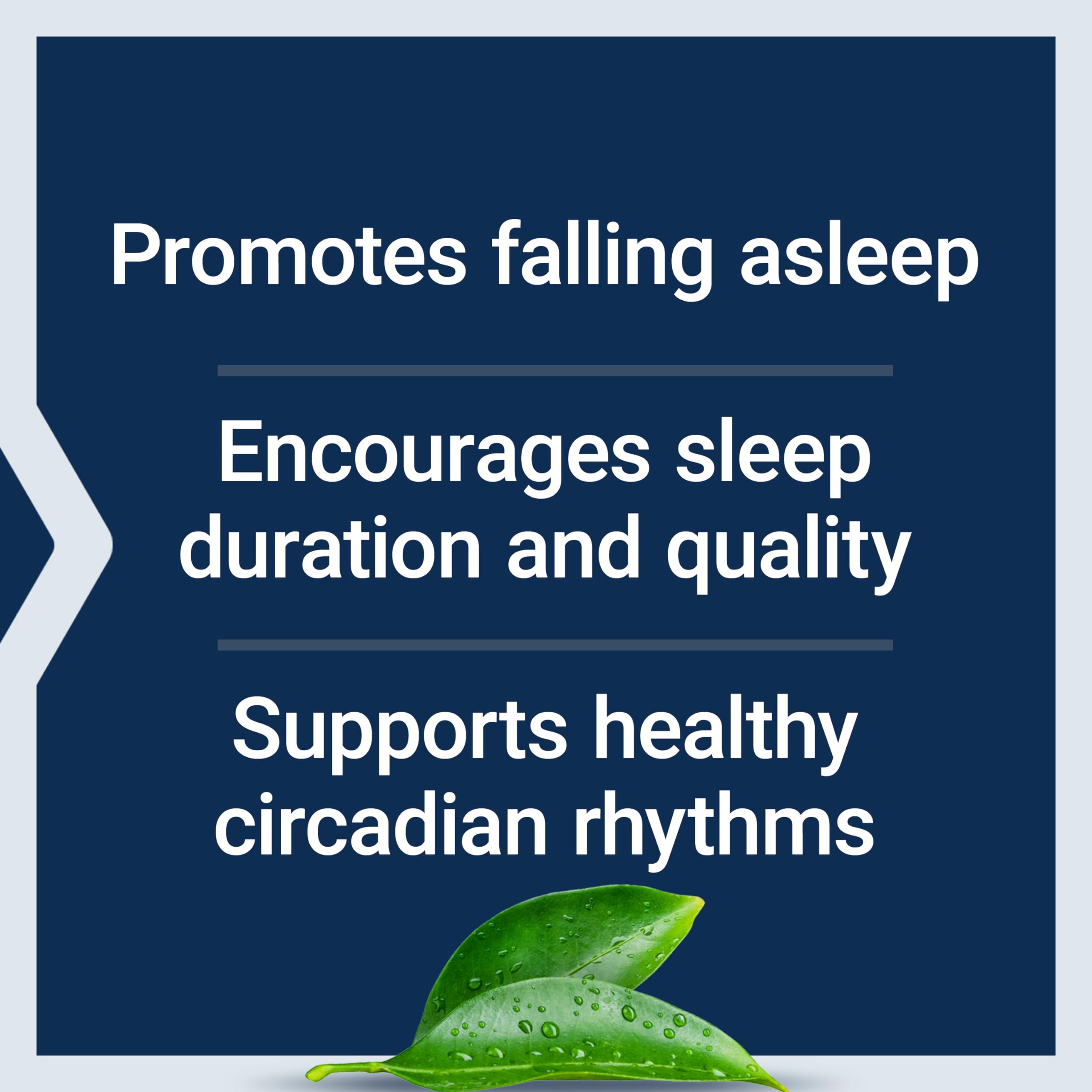 Life Extension Melatonin 6-Hour tablets on display indicate even, balanced release.
