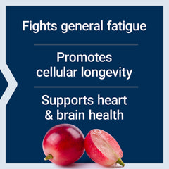 Life Extension Melatonin vegetarian capsules inside bottle showcase plant-based sleep support.