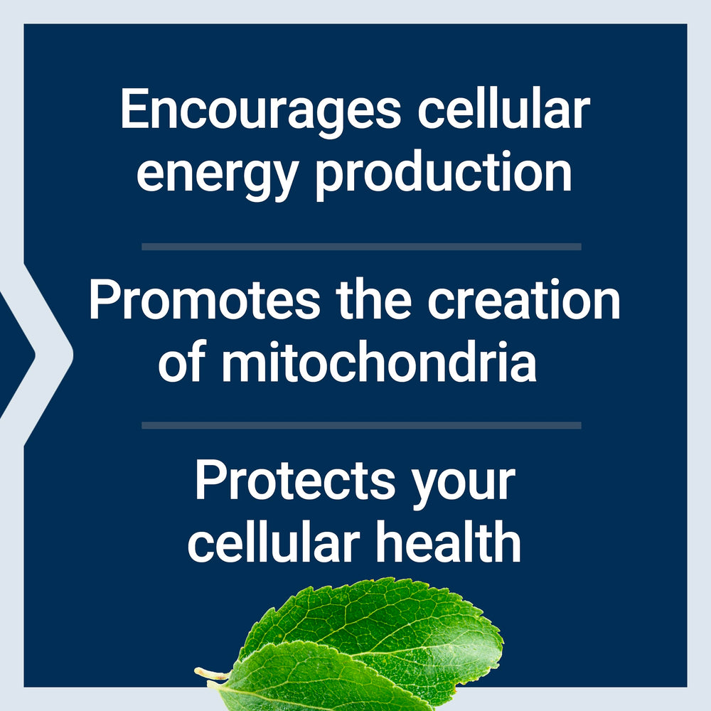 Life Extension Mitochondrial Energy Optimizer spoon-dispense ready to take with water