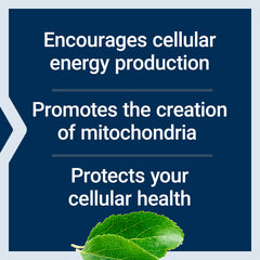 Life Extension Mitochondrial Energy Optimizer spoon-dispense ready to take with water
