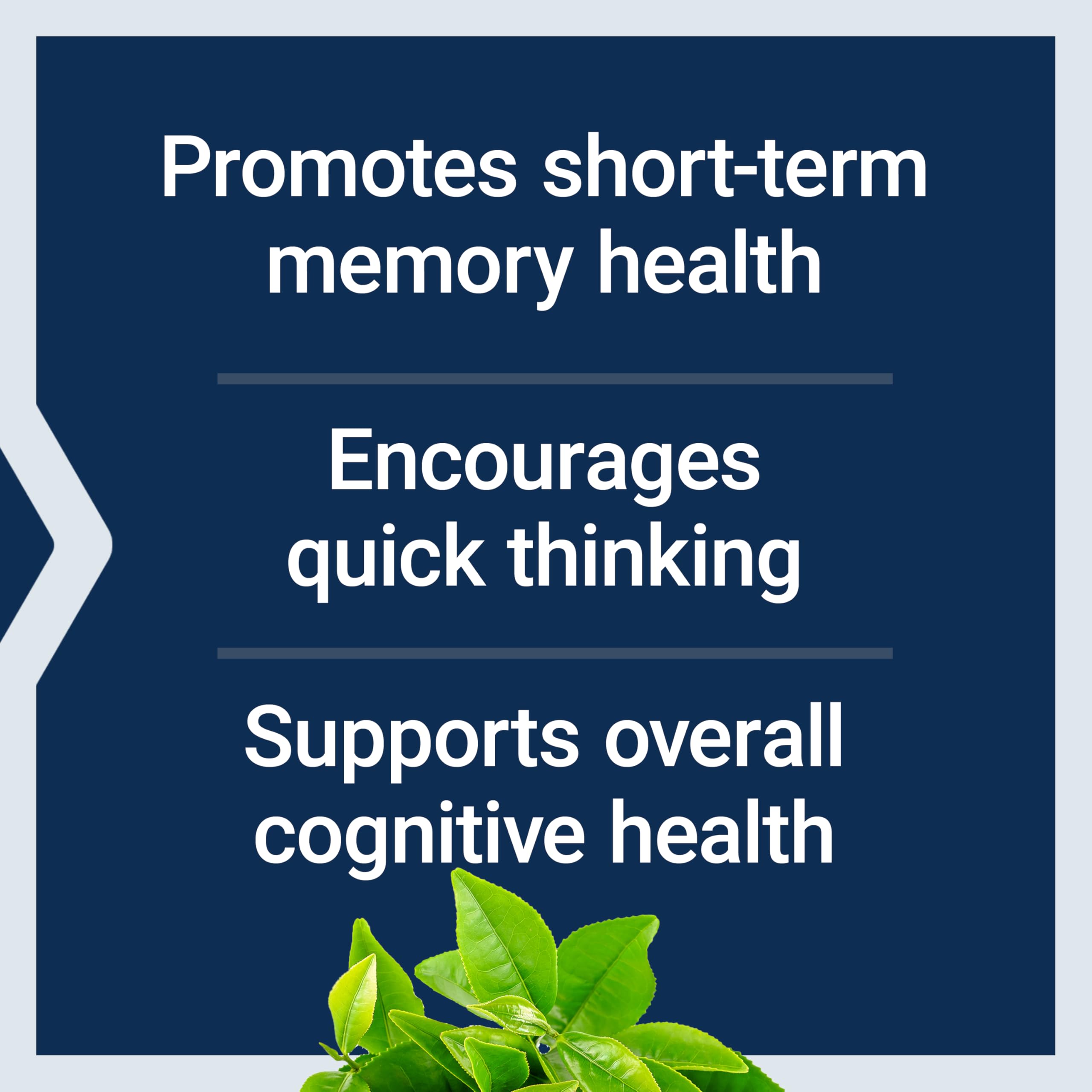 Capsules resting on palm highlight compact daily supplement form
