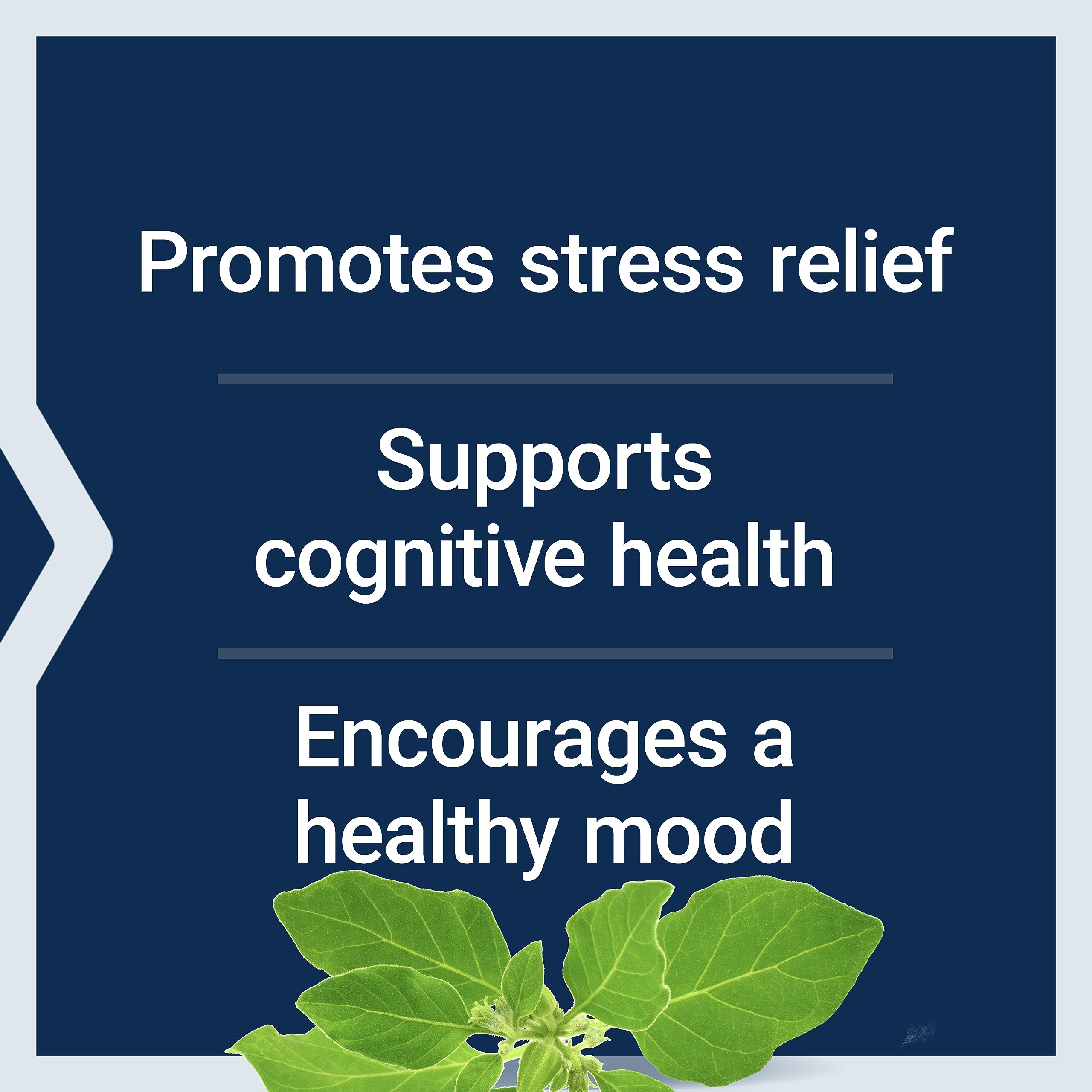 Life Extension Optimized Ashwagandha root and leaf extracts emphasizing active compounds.