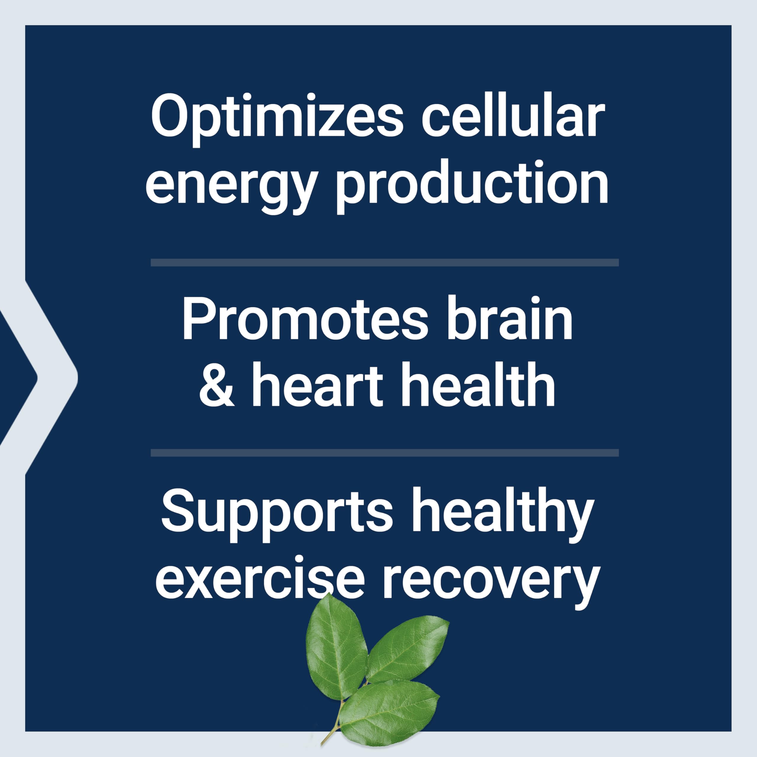 Life Extension Optimized Carnitine packaging box conveys gluten-free, non-GMO quality.