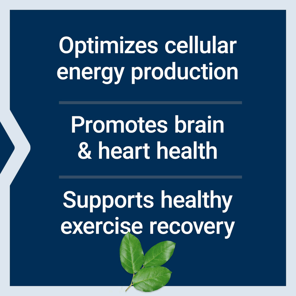 Life Extension Optimized Carnitine packaging box conveys gluten-free, non-GMO quality.