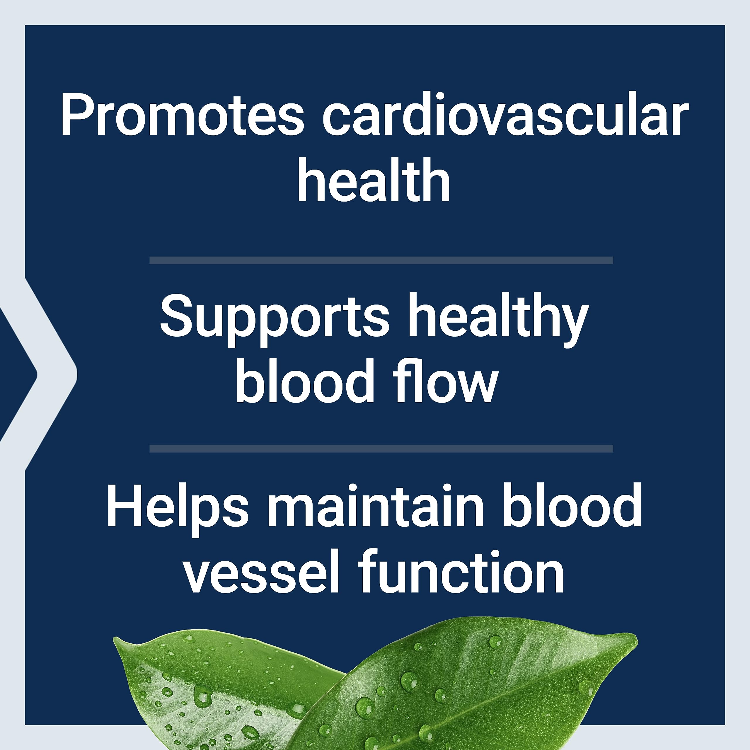 Life Extension packaging emphasizing dual-action minerals for vascular health.