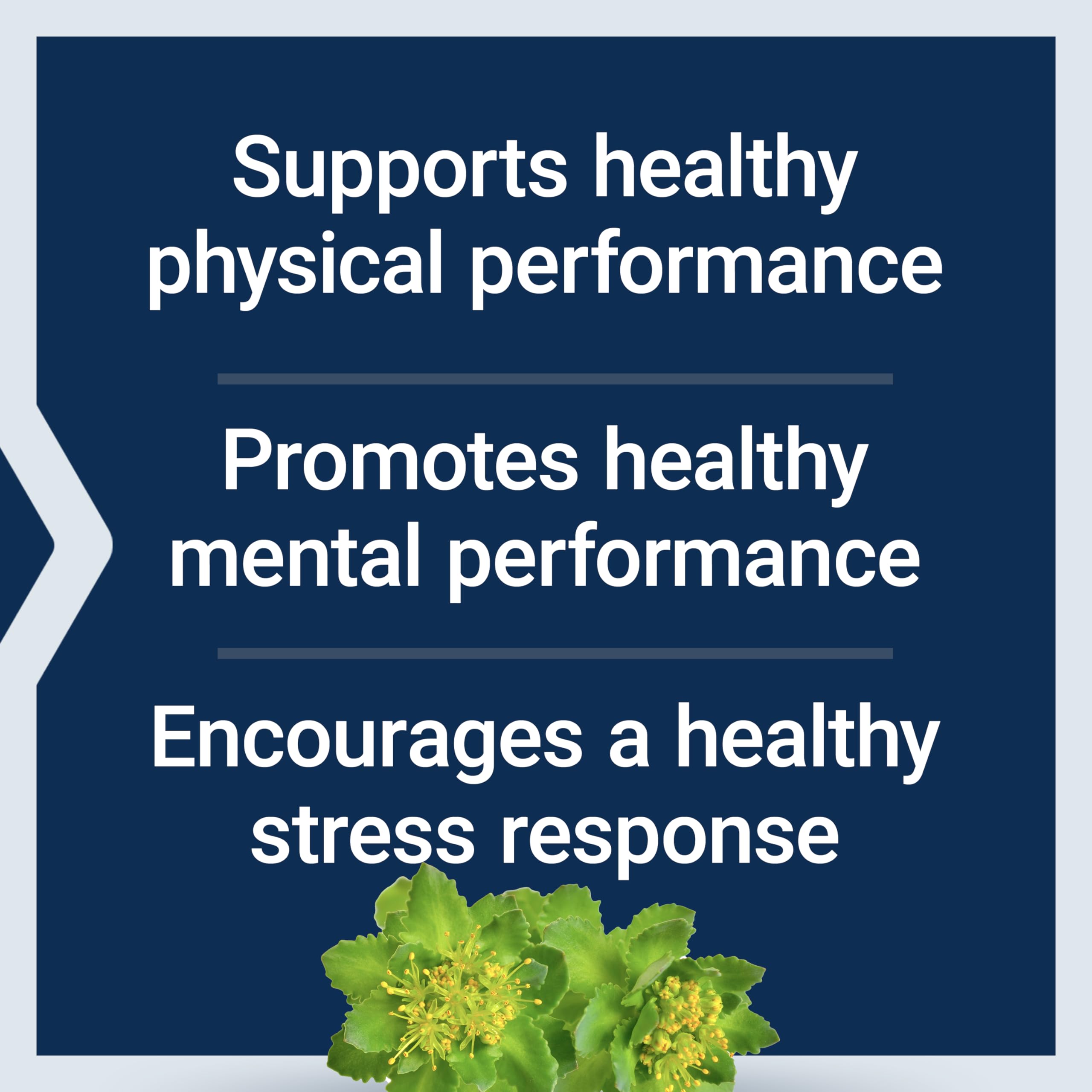 Life Extension Rhodiola bottle on a desk conveying ready-to-use daily wellness.