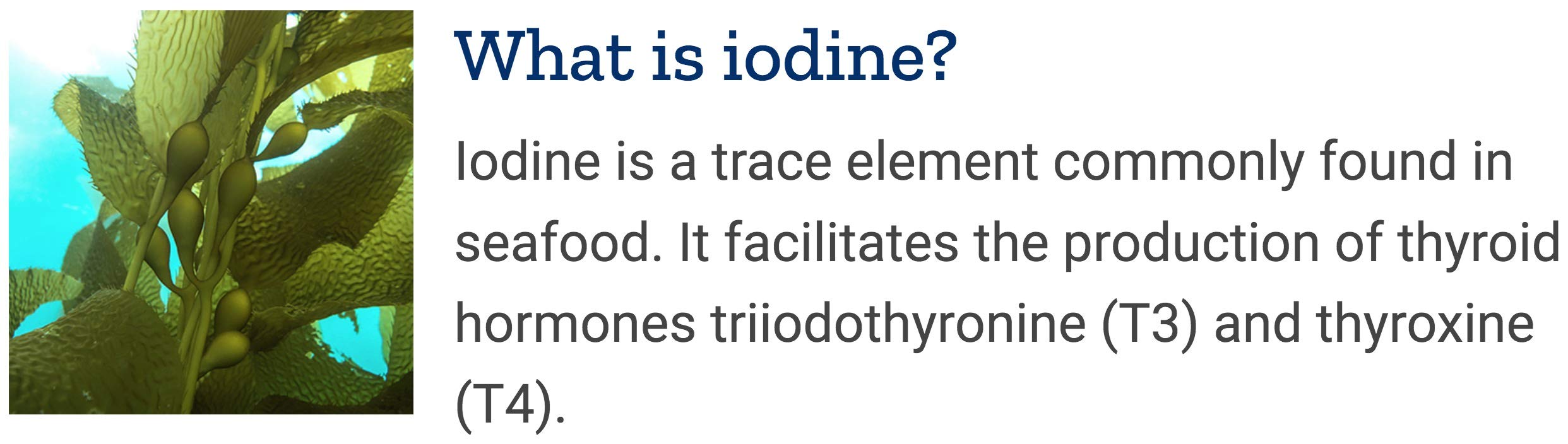 Life Extension Sea-Iodine sea-plant complex ingredients from kelp and bladderwrack.