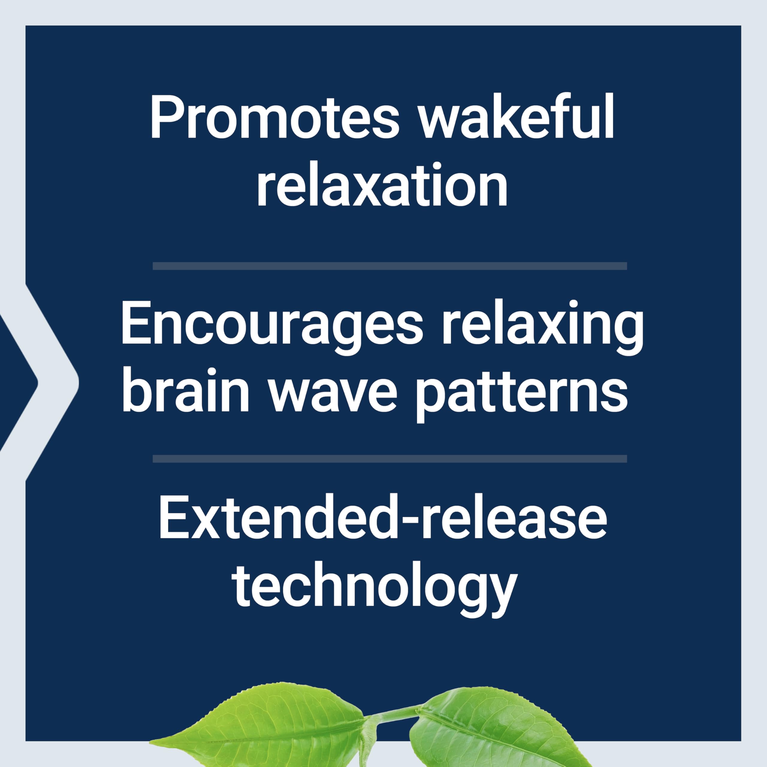 Graphic of extended-release technology for Life Extension Theanine XR calm support.