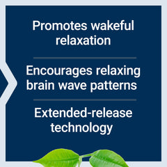 Graphic of extended-release technology for Life Extension Theanine XR calm support.