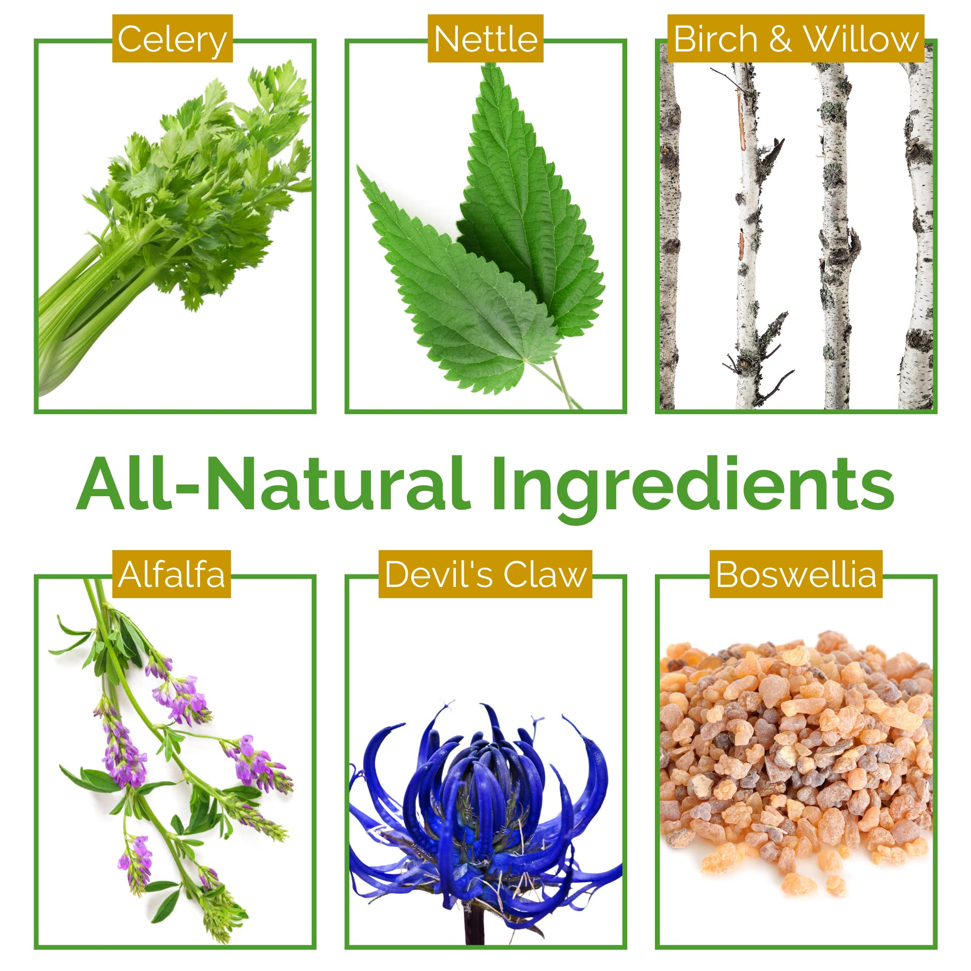 Life Tones Uric Acid Support ingredients close-up natural herbal blend