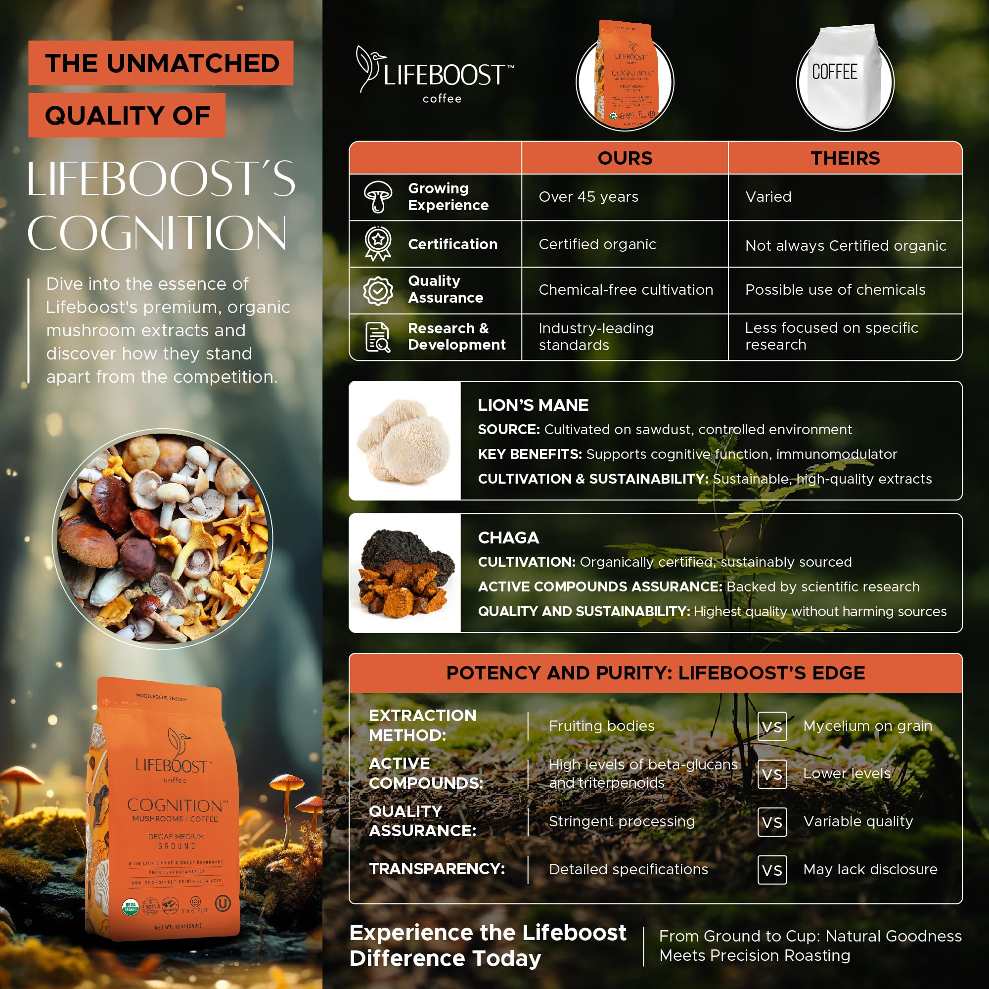 Aromatic Lifeboost Cognition cup with steam and inviting aroma.
