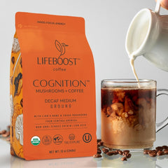Lifeboost Cognition Chaga mushroom close-up highlighting traditional wellness ingredients.