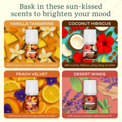 Lifelines ClickWick Vanilla Tangerine bottle delivers comforting sweetness for cozy moments.