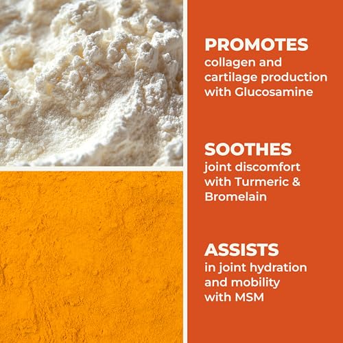 LifeSeasons Mobili-T ingredients closeup; MSM and collagen provide cartilage-building support.