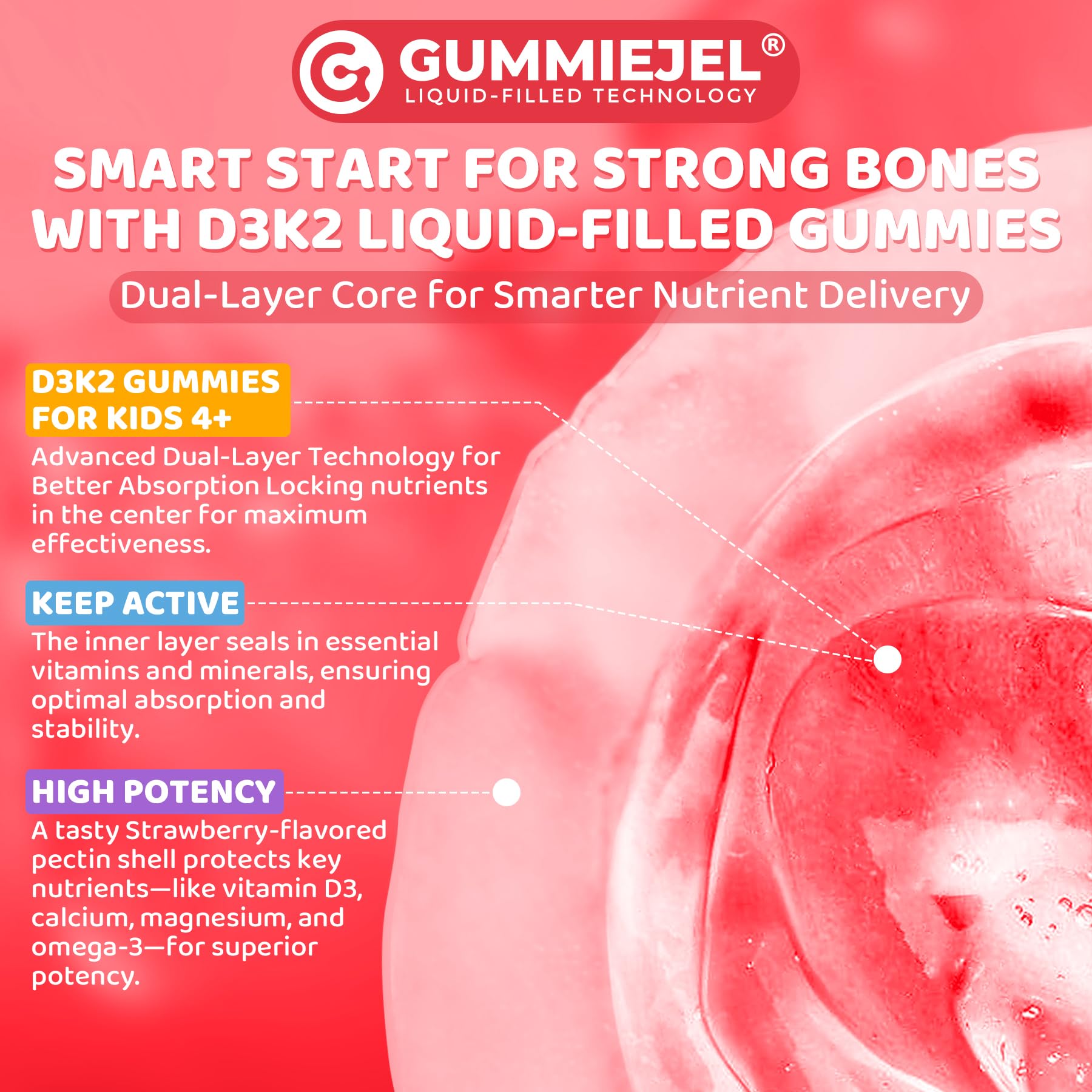 LILICARE brain focus nutrition illustration featuring D3K2 and omega-3