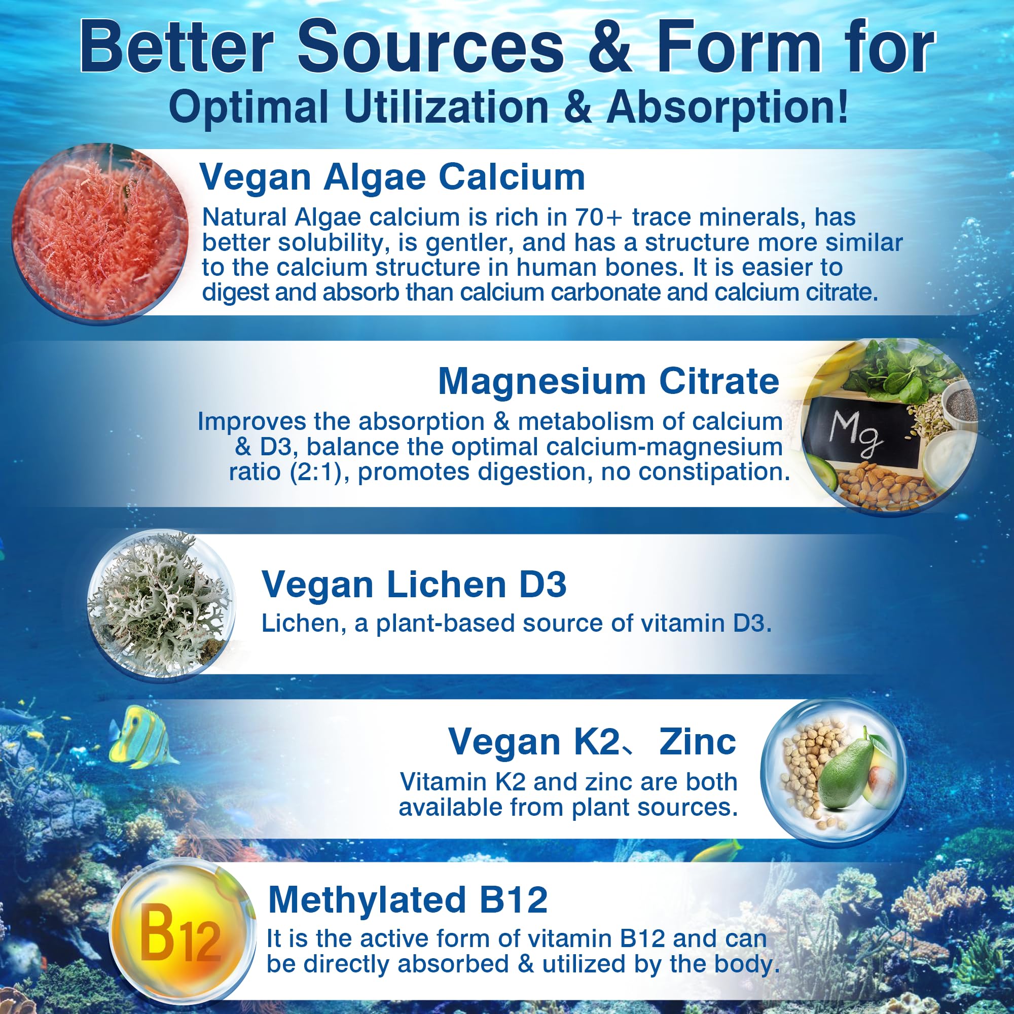LILICARE liposomal technology illustration emphasizing enhanced nutrient absorption