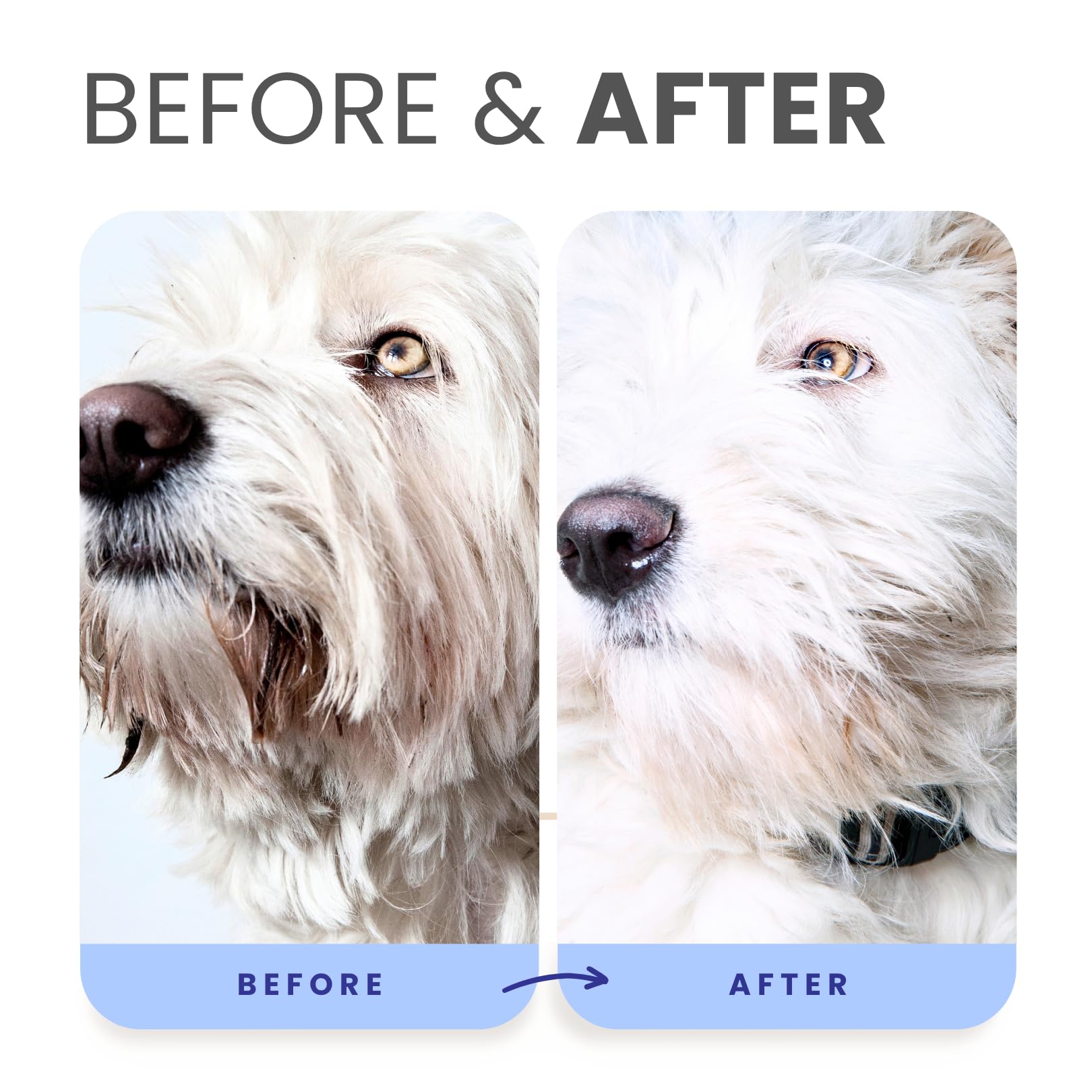 Professional groomer use with Lillian Ruff Berry Blue bottle.