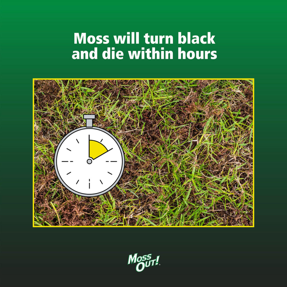 Liquid iron delivers vibrant turf color and healthier-looking grass after treatment.