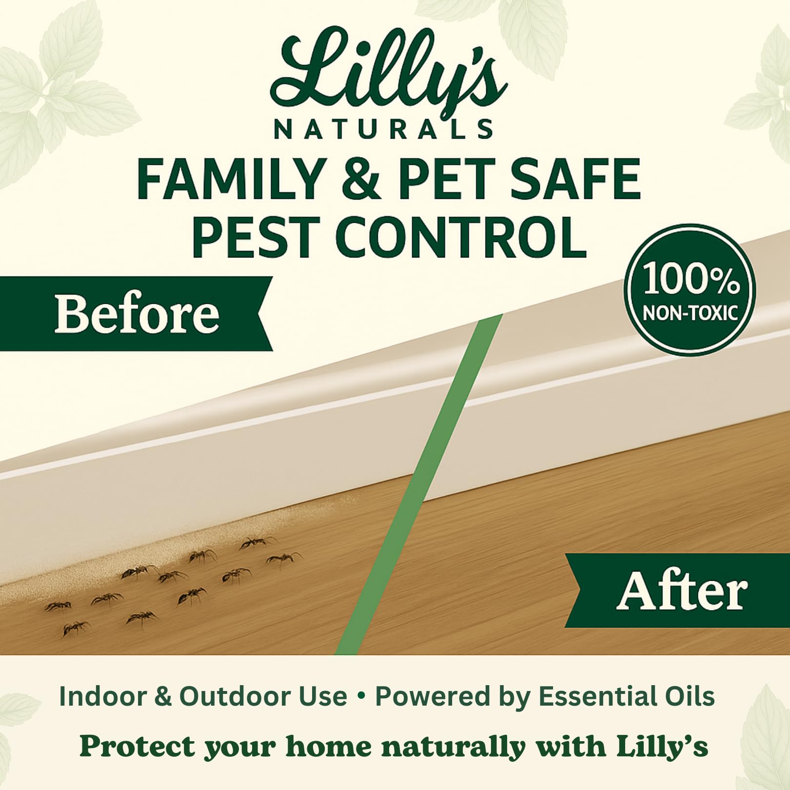 Carpet application of Lilly's Naturals flea powder on fibers.