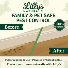 Carpet application of Lilly's Naturals flea powder on fibers.