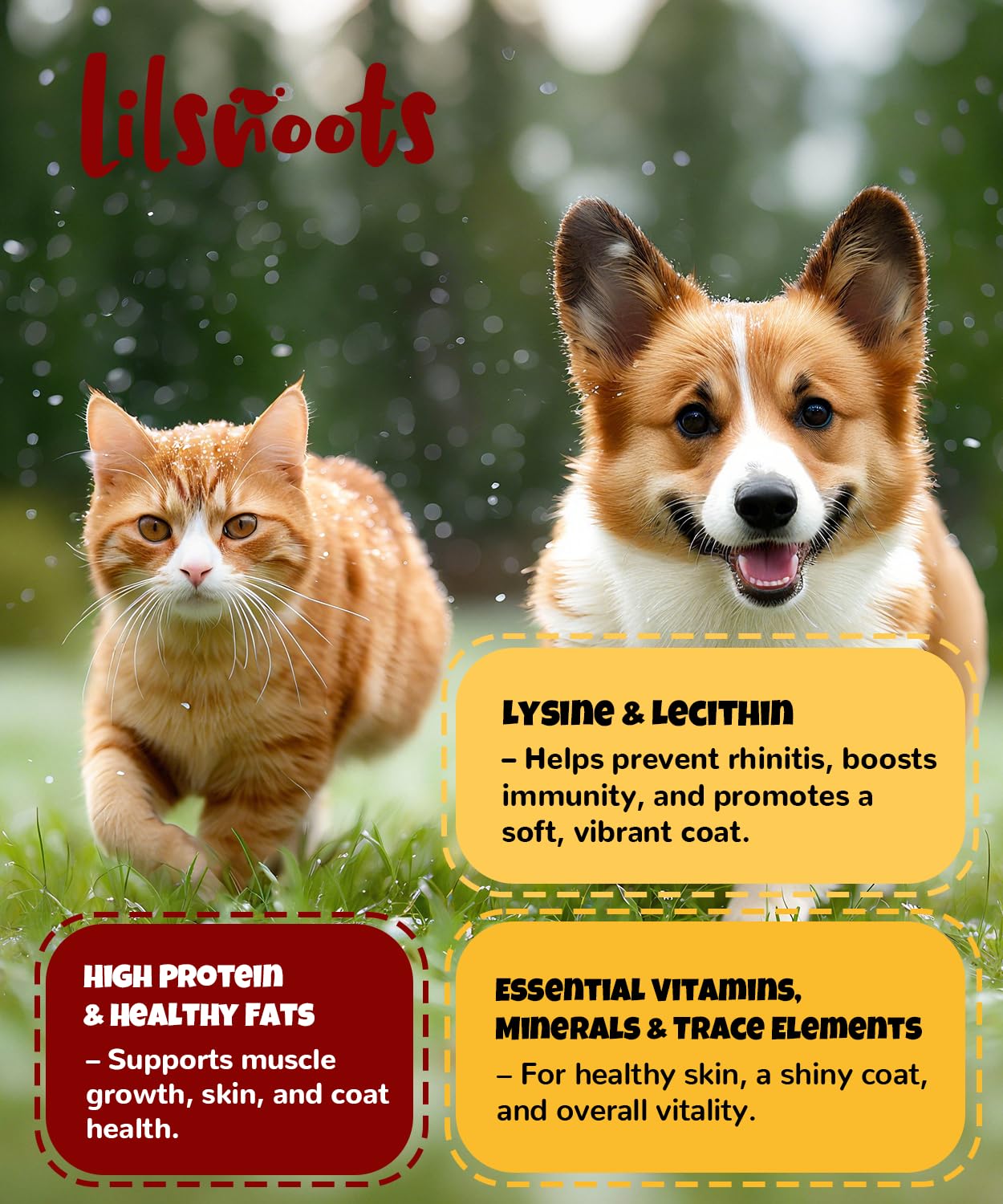 LILSNOOTS grain-free, rawhide-free egg yolk snack suitable for dogs and cats.