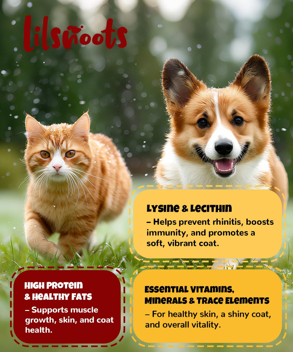 LILSNOOTS grain-free, rawhide-free egg yolk snack suitable for dogs and cats.