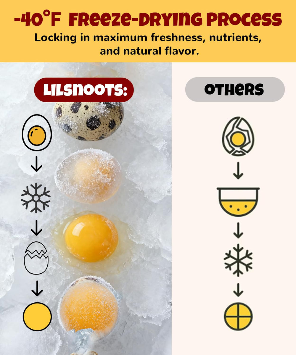LILSNOOTS single-ingredient quail yolk snack is ideal for carnivores.