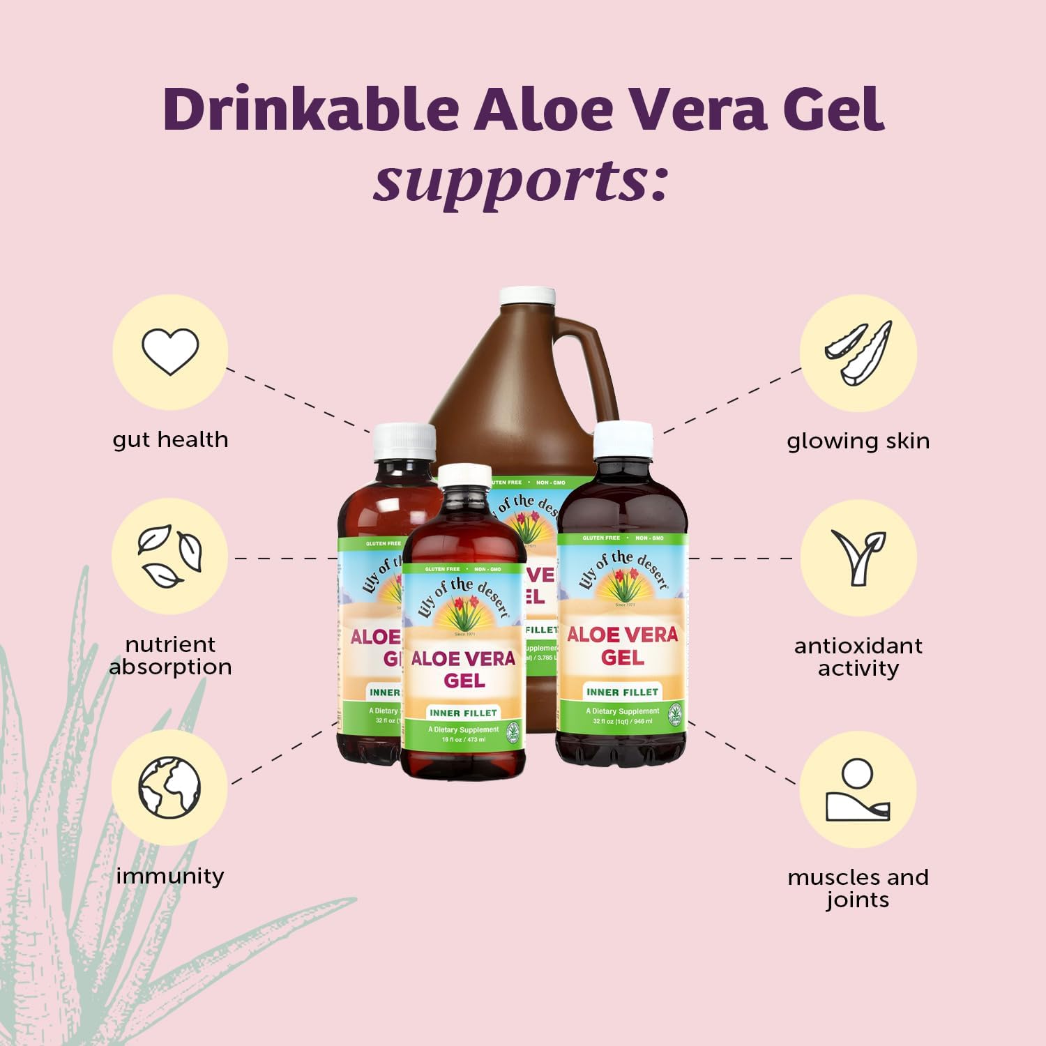 Lily Of The Desert aloe juice 2-pack bottle label emphasizes organically grown inner fillet ingredients