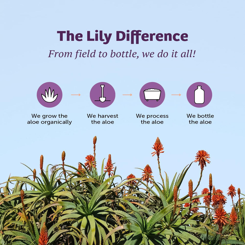Lily of the Desert Stomach Formula includes digestive support ideas with a balanced blend.