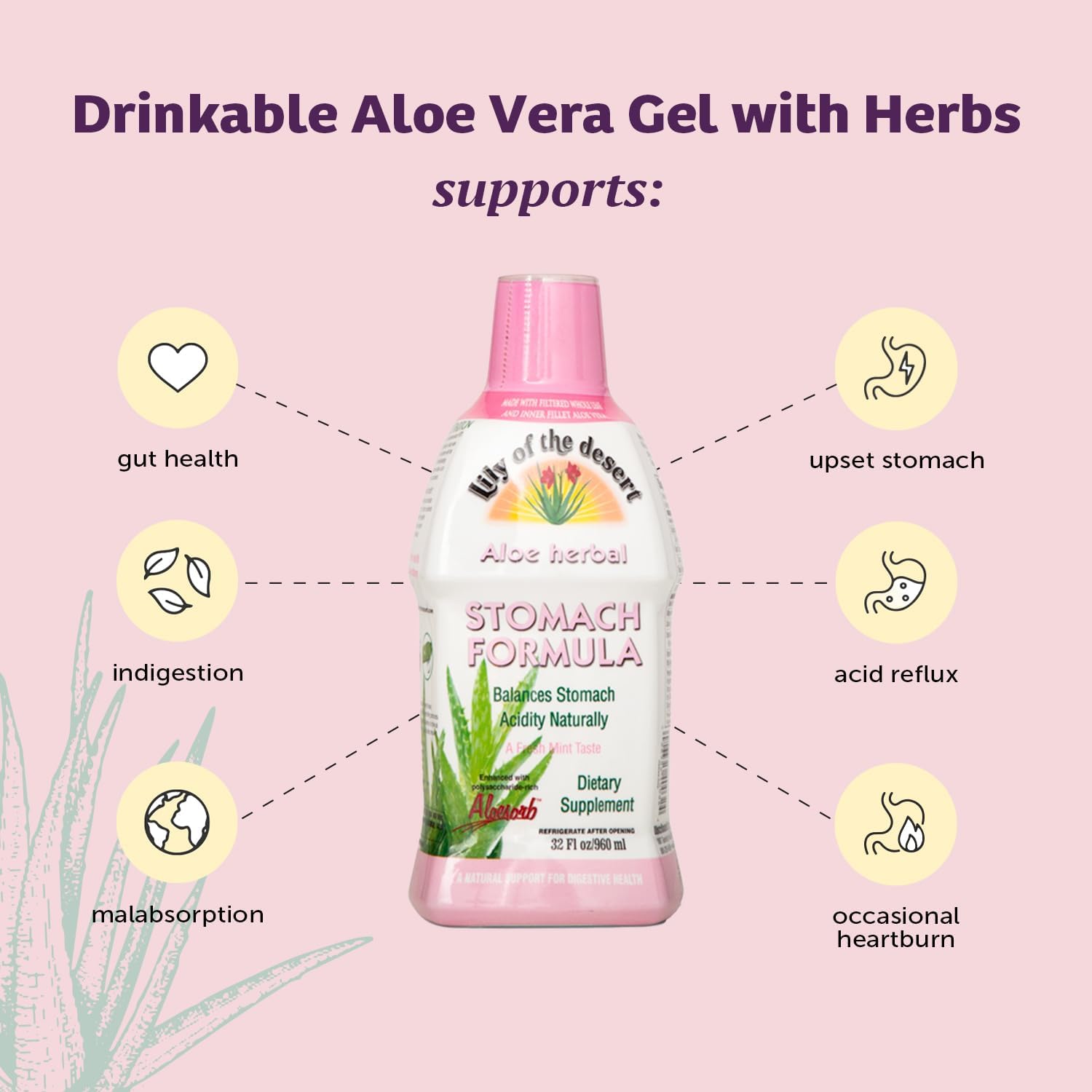 Lily of the Desert Stomach Formula two bottles packaged for convenient storage.