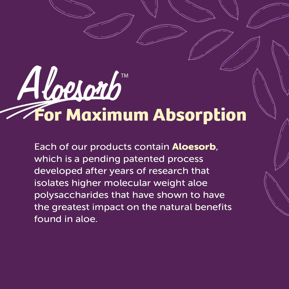 Lily of the Desert Stomach Formula product packaging close-up showing vegan and gluten-free attributes