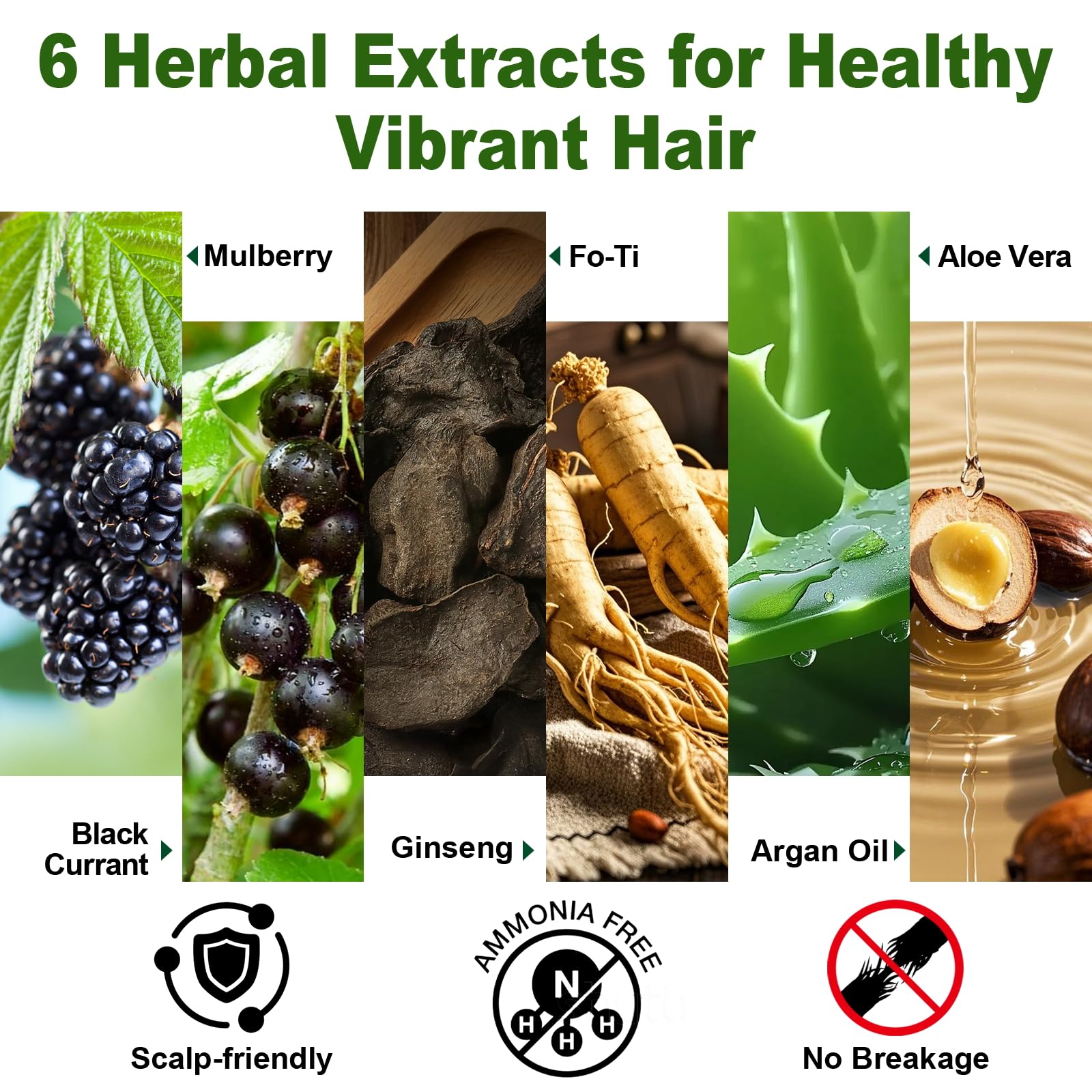 Limer Hair Dye Shampoo Natural Black shows color-coverage result