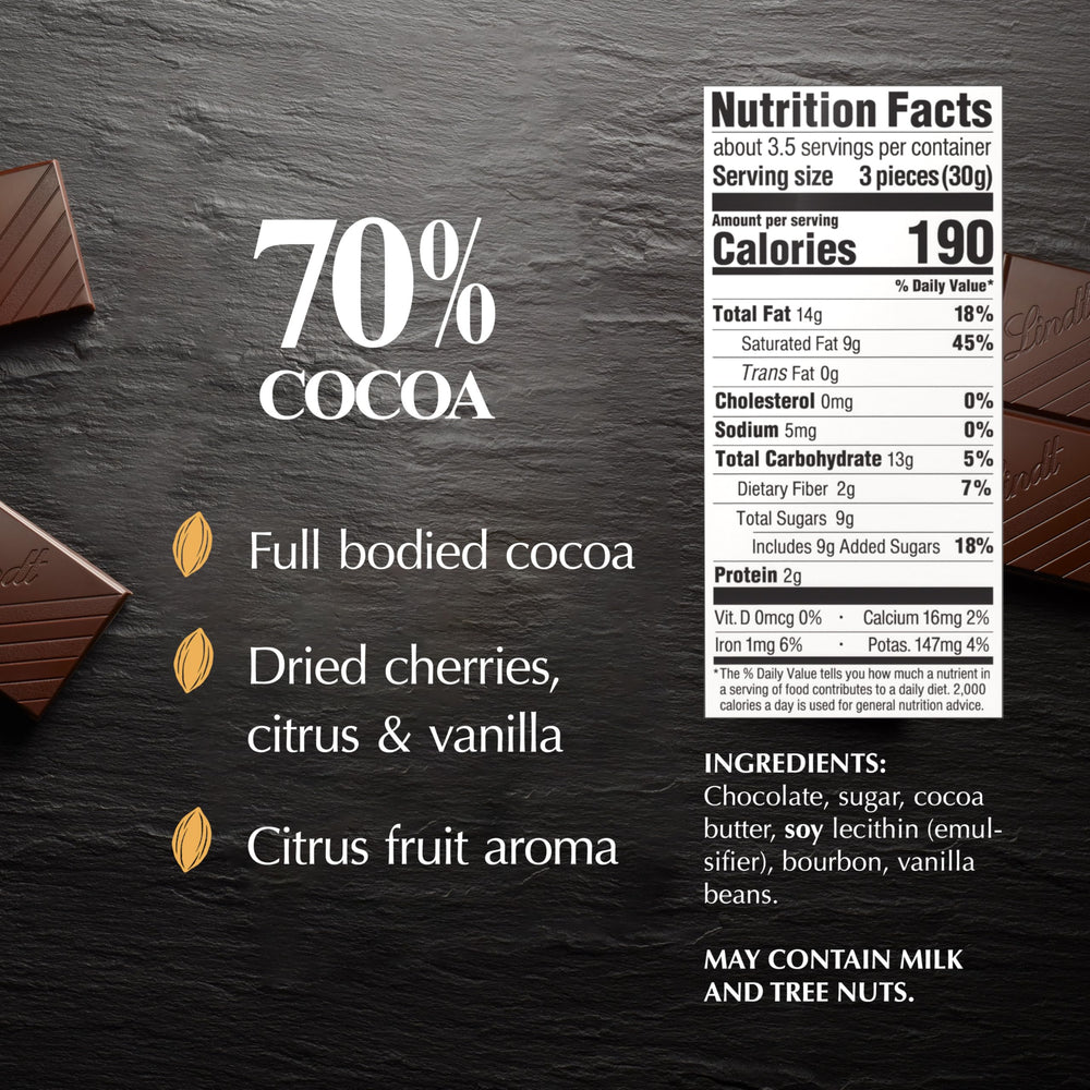 Lindt EXCELLENCE 70% dark chocolate bar silky texture close-up