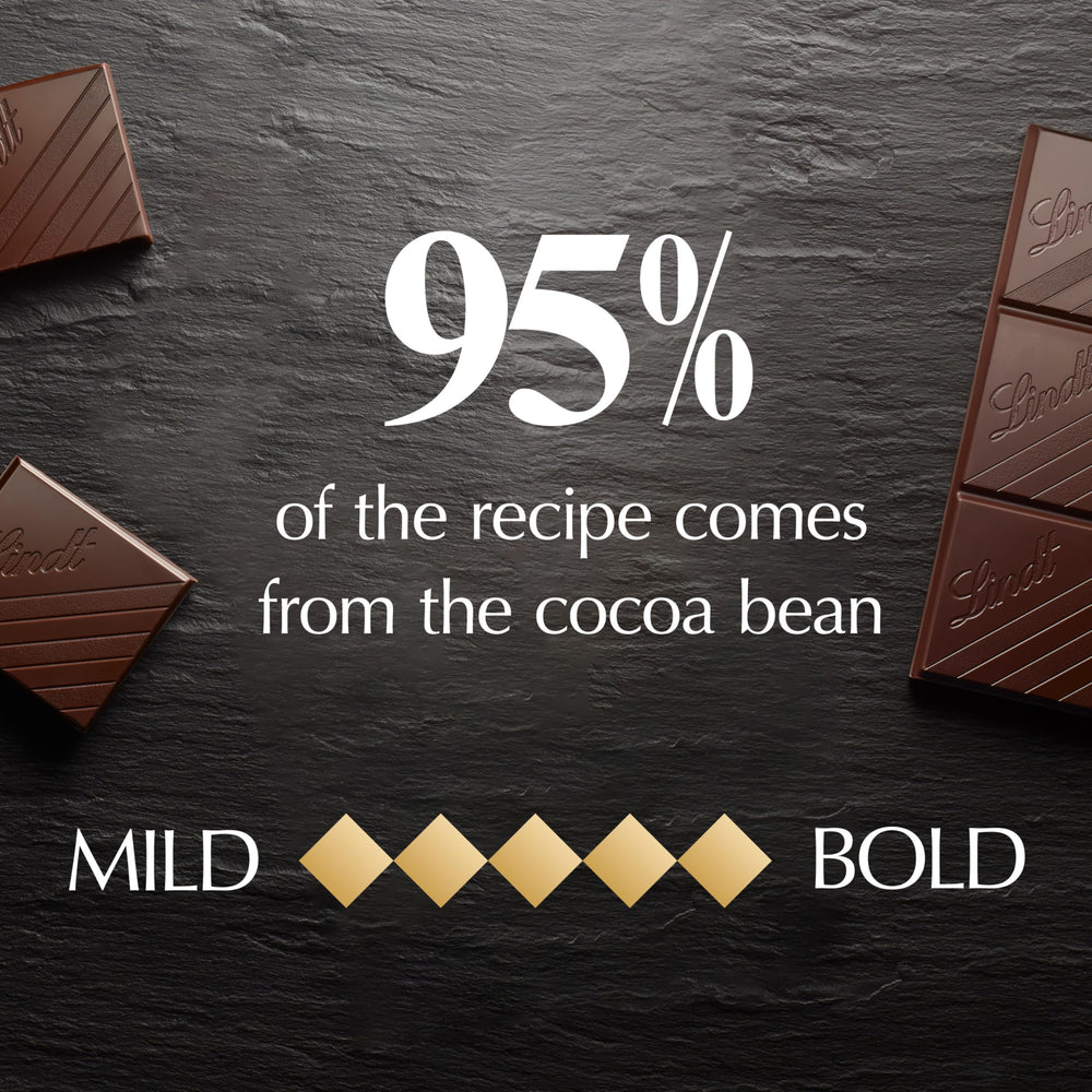 Lindt EXCELLENCE 95% bar as gift idea