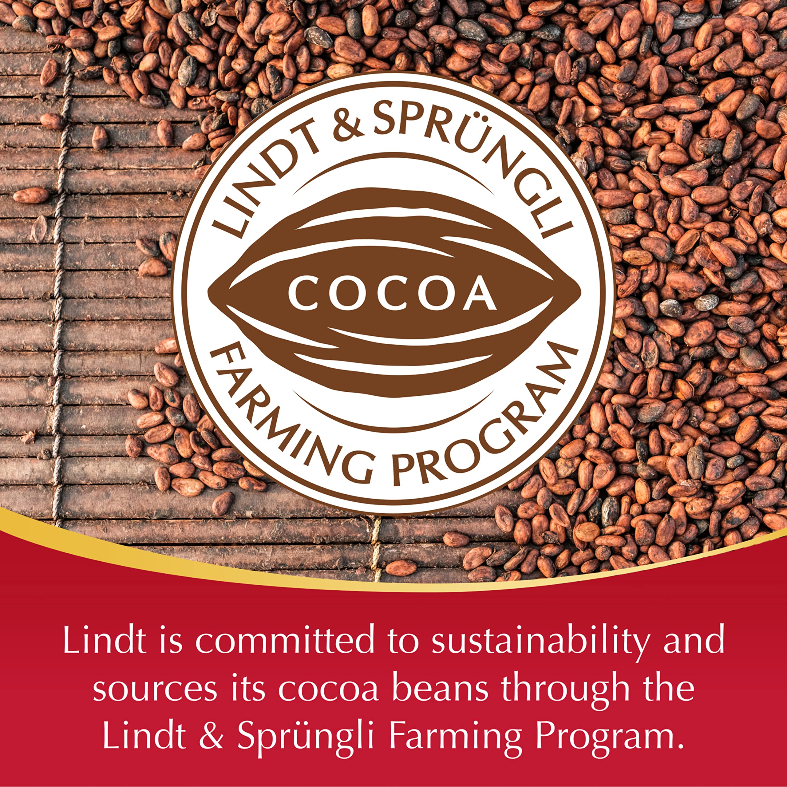 Lindt LINDOR truffles in gift packaging ideal for celebrations